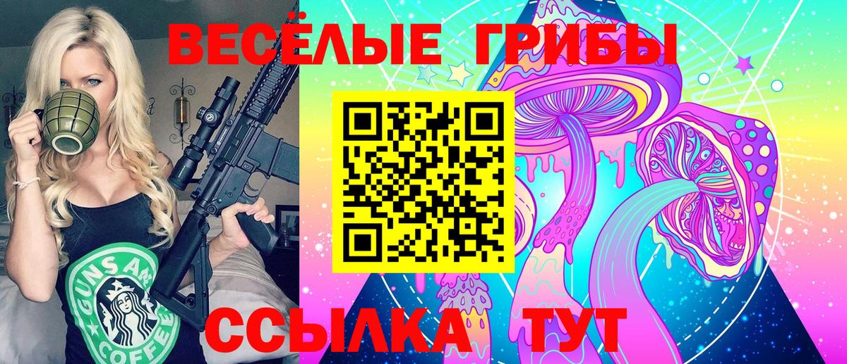 Красноармейск  Псилоцибиновые грибы прущие грибы  Вход с VPN 
